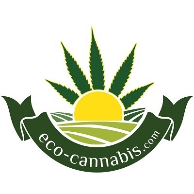 eco cannabis - čaj od konoplje